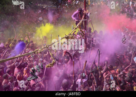 Holi celebrato con tradizionale di zelo e di fervore in Rajasthan Foto Stock