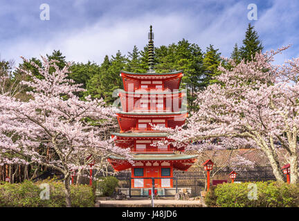 Fujiyoshida, Giappone a Pagoda Chureito nella stagione primaverile. Foto Stock