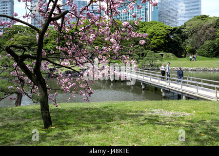 Hama Rikyu giardini paesaggistici di Tokyo. Foto Stock