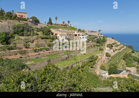 Terrazze in Banyalbufar, Maiorca, SPAGNA Foto Stock