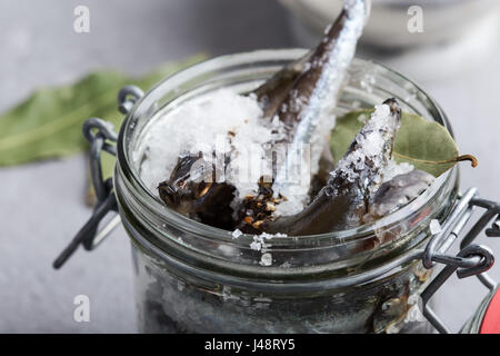 Preparare il capelin salata. Pesce preservato per mangiare Foto Stock