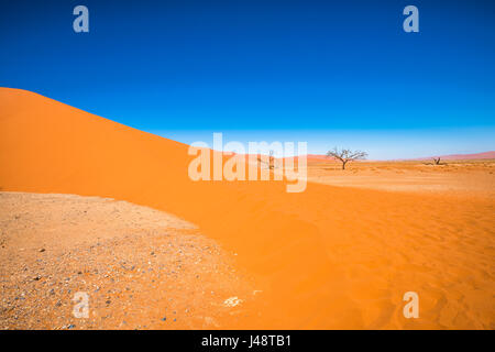 Dune 45, Sossusvlei, Namib-Naukluft National Park, Namibia Foto Stock