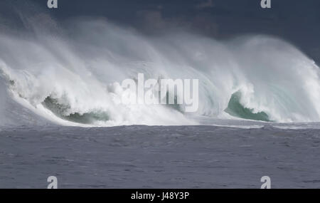 Rottura grande oceano onda sulla North Shore di Oahu Foto Stock