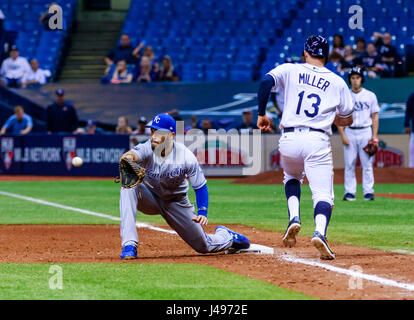 Campo Tropicana. 09 Maggio, 2017. Florida, USA-Tampa Bay Rays secondo baseman Brad Miller (13) viene buttato fuori alla prima base nel nono inning di gioco tra i reali e i raggi a Tropicana campo. Credito: csm/Alamy Live News Foto Stock