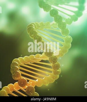 Il filamento di DNA modello - genetics 3d illustrazione Foto Stock