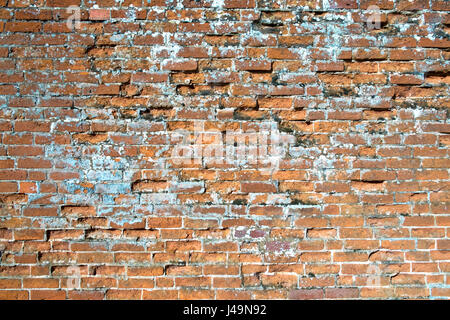 Telaio completo vicino la consistenza del vecchio rosso danneggiato un muro di mattoni Foto Stock