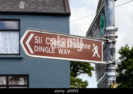 Dingle, nella contea di Kerry, Irlanda - un segno punti gli escursionisti il modo per il modo di Dingle sentiero escursionistico (Sli Chorca Dhuibne) Foto Stock