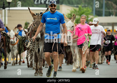 I corridori e pack burros (asini) su parade, Idaho Springs Tommyknockers Mining Days Festival e pacco gara di burro, Idaho Springs, Colorado, STATI UNITI D'AMERICA Foto Stock