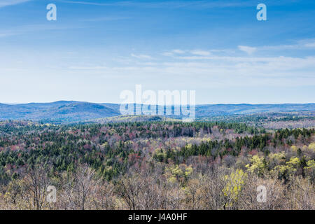 Hogback Mountain Scenic si affacciano in Green Mountain State Park nel Vermont Foto Stock