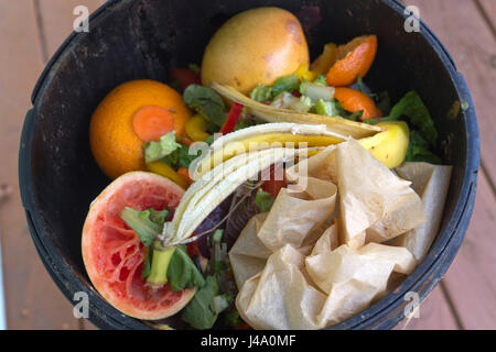 In prossimità di un nucleo familiare composto di metallo bin una casa coperta con il coperchio sollevato che mostra gli scarti vegetali e compostabile carta pergamena insid dcomposing Foto Stock