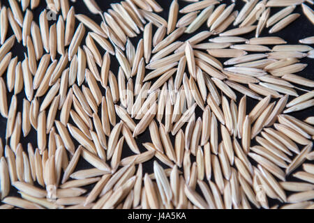 Vista ravvicinata del locale di riso basmati in New Delhi, India. Foto Stock