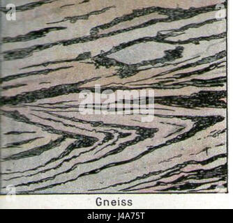 Roche gneiss è un tipo di roccia metamorfica che si forma dalla trasformazione del granito ad alta pressione e temperatura. È caratterizzata dalla sua struttura a fasce ed è comunemente riscontrabile negli studi geologici. Foto Stock
