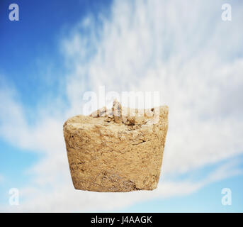 Impianti a secco da un vaso di fiori con il terreno. Foto Stock