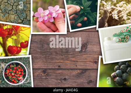 Frutteto e agricoltura photo collage su sfondo di legno come spazio di copia Foto Stock