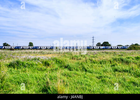 Un prato erboso di fiori selvatici sulle paludi di Walthamstow, Londra, Regno Unito, un lungo treno sulla linea ferroviaria in lontananza Foto Stock