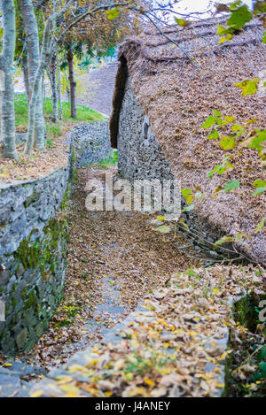 Palloza, tradizionale tetto in paglia in casa O Cebreiro.Pedrafita do Cebreiro, Lugo, Galizia, Spagna, Europa Foto Stock