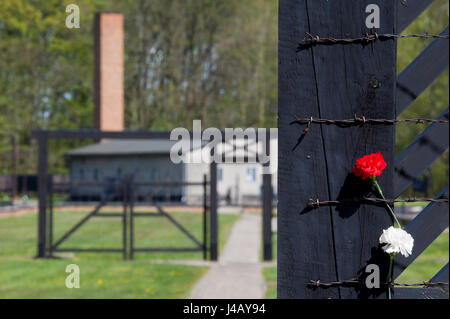 Fiori sulla morte di gate e il crematorio nella Germania nazista di concentramento KL Stutthof nel 72 anniversario della liberazione del campo di concentramento di Foto Stock