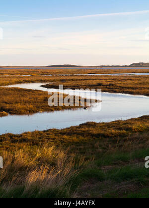 La linea di costa e salmastre a Burnham Deepdale sulla Costa North Norfolk in Inghilterra, Regno Unito Foto Stock