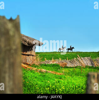 Guardando attraverso la recinzione a tradizione rumena Mila 23, il Delta del Danubio, Romania Foto Stock