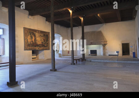 La grande sala inferiore in Château de Sully, Valle della Loira, Francia Foto Stock