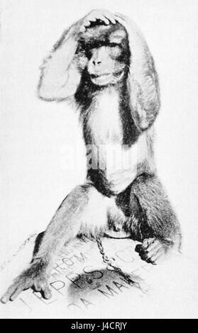 Questo si riferisce a un'illustrazione in "Popular Science Monthly" (PSM), che probabilmente raffigura una scena postumi con un riferimento al claret, che riflette su eventi culturali o sociali. Foto Stock