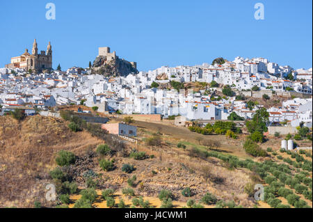 Olvera, bianche città dell'Andalusia, provincia di Cádiz, Spagna Foto Stock