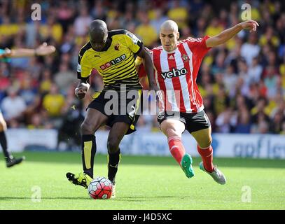 ALLAN NYOM DI WATFORD È CHALL WATFORD V SOUTHAMPTON VICARAGE ROAD STADIUM WATFORD INGHILTERRA 23 Agosto 2015 Foto Stock