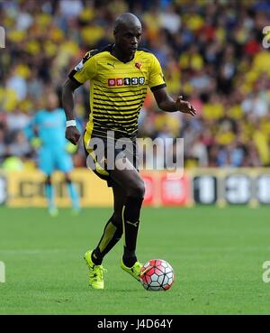 ALLAN NYOM DI WATFORD WATFORD V SOUTHAMPTON VICARAGE ROAD STADIUM WATFORD INGHILTERRA 23 Agosto 2015 Foto Stock