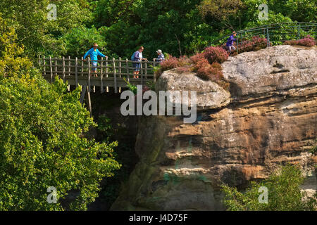 La gente camminare sopra il ponte della Svizzera a Hawkstone Park Follies, Shropshire, Inghilterra, Regno Unito Foto Stock