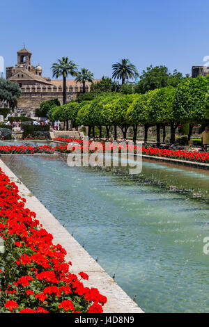 Fontane e giardini, Alcazar de los Reyes Cristianos (Palazzo dei monarchi cristiani), Cordoba, Spagna Foto Stock