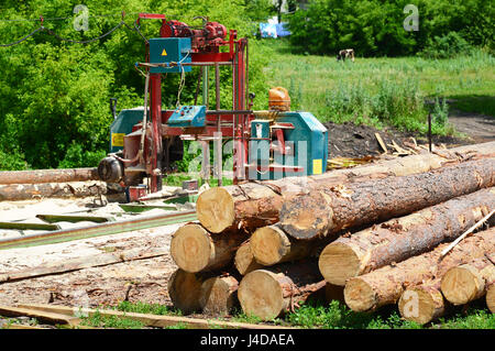 Piccola segheria all'aria aperta, Russia Foto Stock