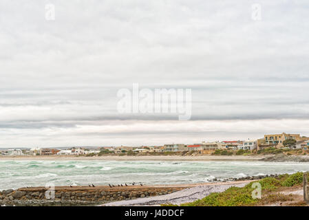 YZERFONTEIN, SUD AFRICA - 31 Marzo 2017: una vista di case e una spiaggia con minacciate oystercatchers nero nella parte anteriore a Yzerfontein sulla West COA Foto Stock