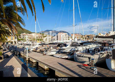 Porto Montenegro è un servizio completo di marina si trova nella Baia di Kotor in Montenegro Foto Stock