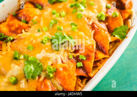 Chiusura del pollo in casa enchiladas guarnita con cipolla verde e coriandolo. Foto Stock