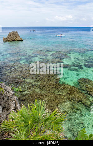Palme su una scogliera sopra le acque cristalline di Roatan barriera corallina in West Bay, Roatan, Honduras Foto Stock