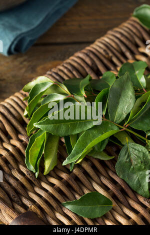 Materie organiche Verde foglie di Curry pronto a cucinare con Foto Stock