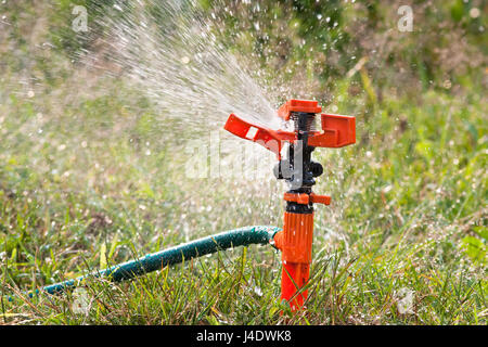 Sprinkler acqua di irrorazione su erba per innaffiare il giardino Foto Stock