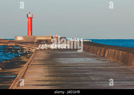 Faro rosso sul molo frangiflutti a Mar Baltico Foto Stock