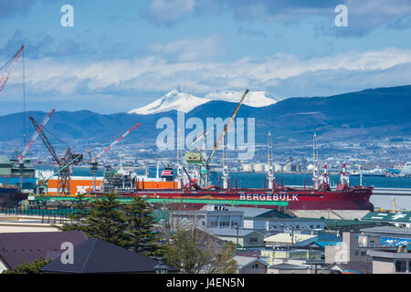 Vista su Hakodate dal distretto di Motomachi, Hakodate, Hokkaido, Giappone, Asia Foto Stock