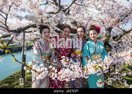 Donne abbigliate come geishe in piedi la fioritura dei ciliegi, Fort Goryokaku, Hakodate, Hokkaido, Giappone, Asia Foto Stock