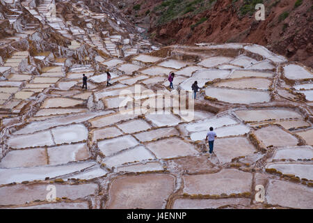 Maras Saltpan Salinas nella Valle Sacra degli Incas, vicino a Cusco, Perù, Sud America Foto Stock