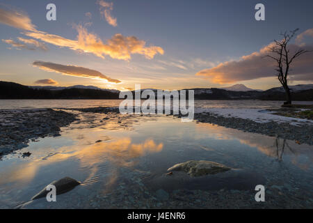 Loch Ard e Ben Lomond a metà inverno, Trossachs, Scotland, Regno Unito, Europa Foto Stock