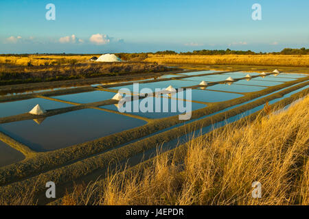 Saline e pile di Fleur de Sel intorno al Fier d Ars paludi del west, Ars en Re, Ile de Re, Charente-Maritime, Francia Foto Stock