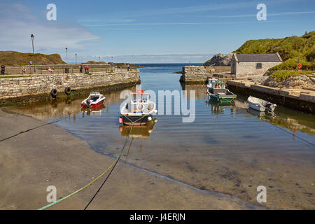 Balintoy porto, vicino Giant's Causeway, County Antrim, Ulster (Irlanda del Nord, Regno Unito, Europa Foto Stock