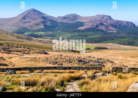 Moel Hebog visto dalla Rhyd Ddu percorso Snowdon, Snowdonia, il Galles del Nord Foto Stock