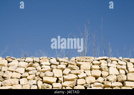 Abstract colpo di bastoni e erba in condizioni di tempo asciutto e parete di macerie. Isolati gli elementi tipici della campagna maltese nelle aree rurali. Paesaggio orizzontale o Foto Stock