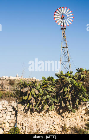 Mulino a vento e del ficodindia impianto raffigurato in un tipico scenario di campagna. Malta e Gozo, l'Europa. Foto Stock