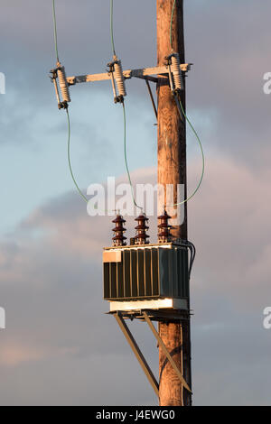 Un trasformatore elettrico su una linea di potenza pole Foto Stock