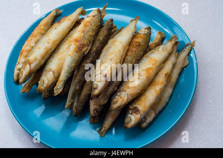 Frittura di pesce smelleds giace su una piastra bianca sulla tovaglia grigio Foto Stock