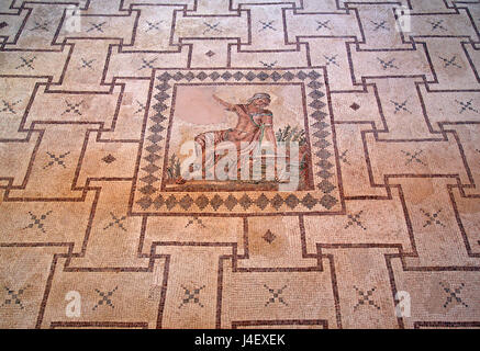 "Narciso mosaico" all'interno della "Casa di Dioniso' nel Parco Archaeoological di Paphos (Patrimonio Mondiale dell'UNESCO), Cipro. Foto Stock
